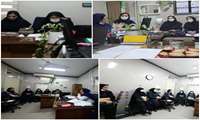 برگزاری نشست فصلی کارگروه اجرای طرح پرستار پیگیر در مراکز پایلوت
