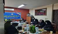 برگزاری کارگروه ستادی آموزش به بیمار و خانواده