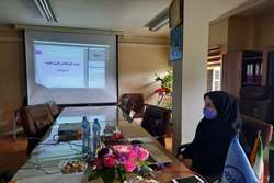 نشست غیرحضوری کارشناسان کنترل عفونت