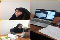 برگزاری وبینار 