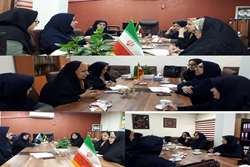 شورای هماهنگی پرستاری با حضور مدیر پرستاری دانشگاه و رئیس دانشکده پرستاری و مامایی شهید بهشتی رشت و روسای هیات مدیره نظام پرستاری رشت و شهرستانها